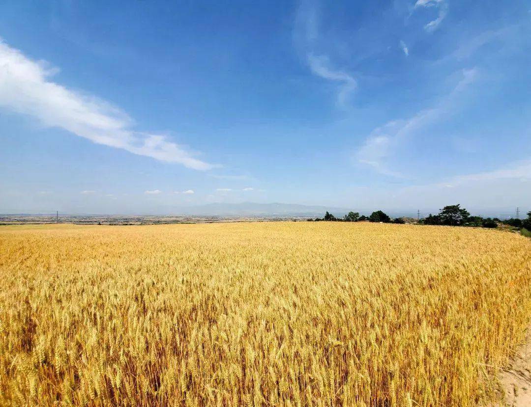 荐读 丨 高亚平:忙月闲天