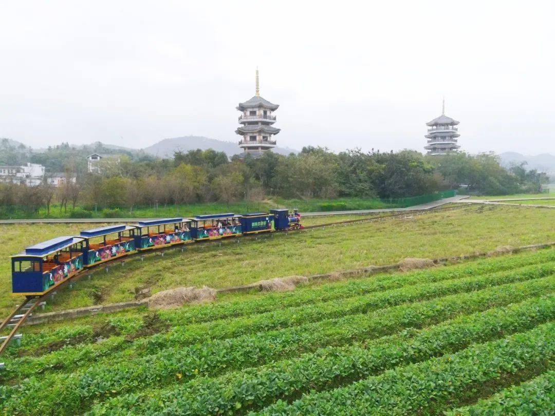 就在五彩田园_建设_玉林_观光