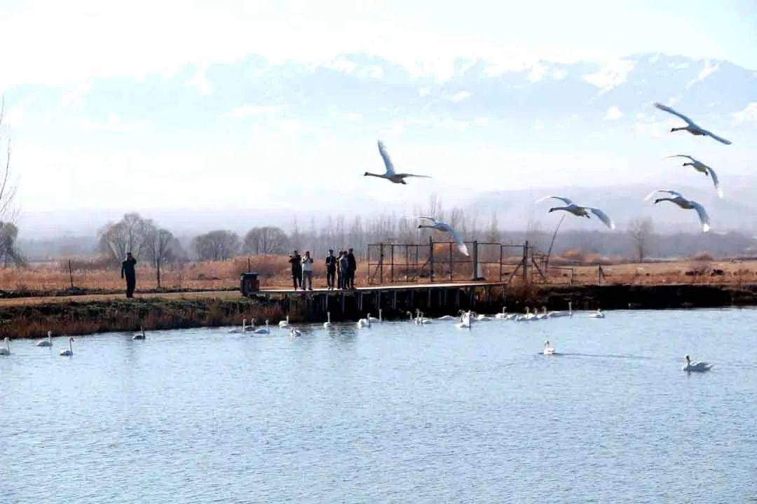 李劍 攝品朗讀者音頻文丨李曉寅寒冬已至,天地空靈,一場場大雪的到來