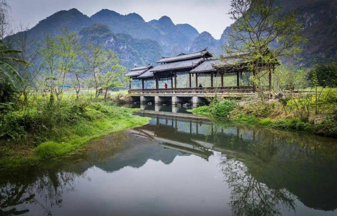 4)_罗平_油菜籽_梯田