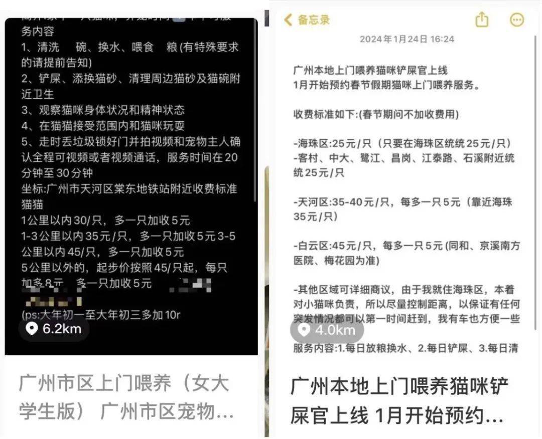 90后姑娘几天就赚5000元!可不少人担心