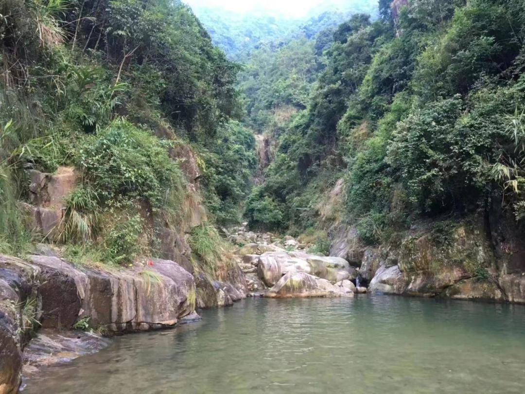 【共叙乡情 共谋发展】东田联合溪美,柳城举办南安市新春招商会(中心