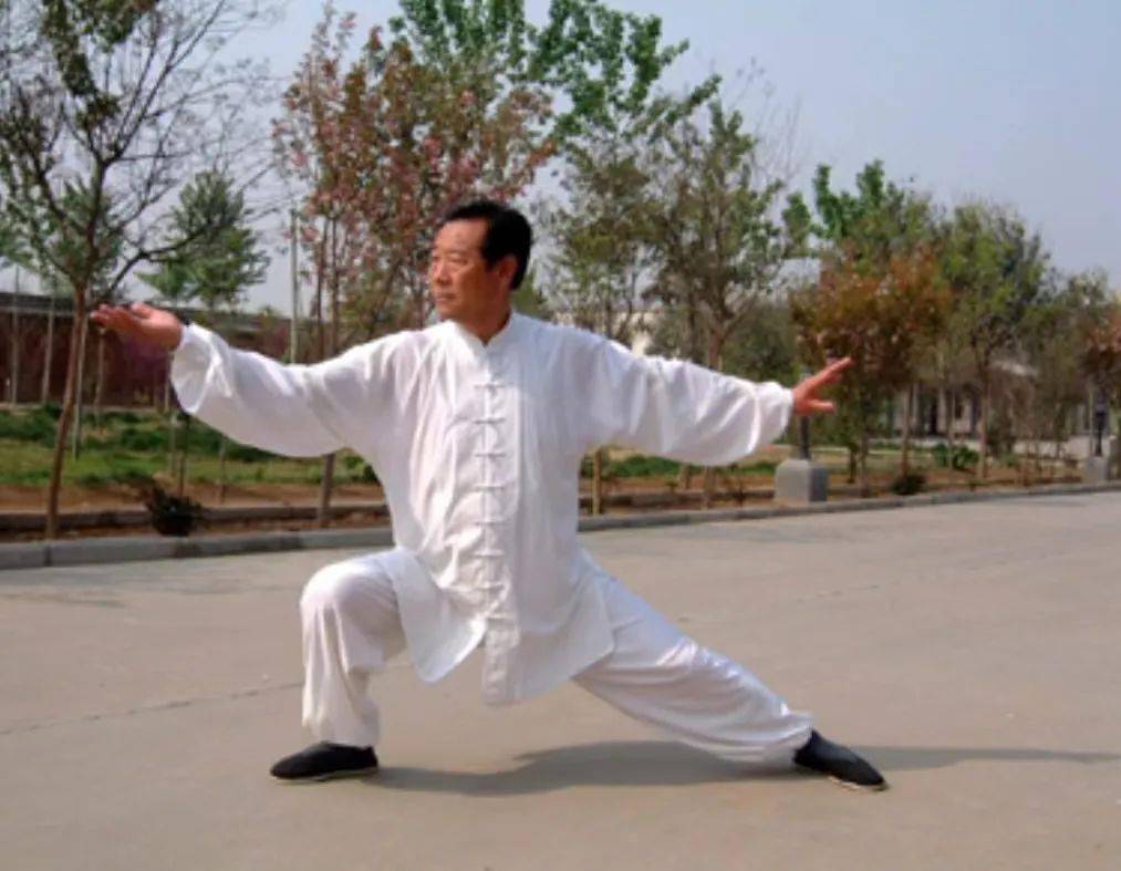 沉痛悼念王西安先生_太极拳_河南省_陈式