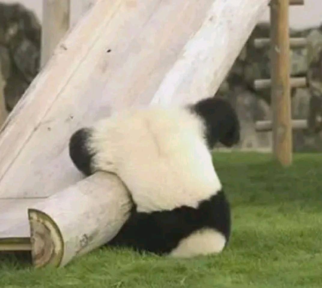 小薇支招,放心应对!(内附得红包秘籍)_生
