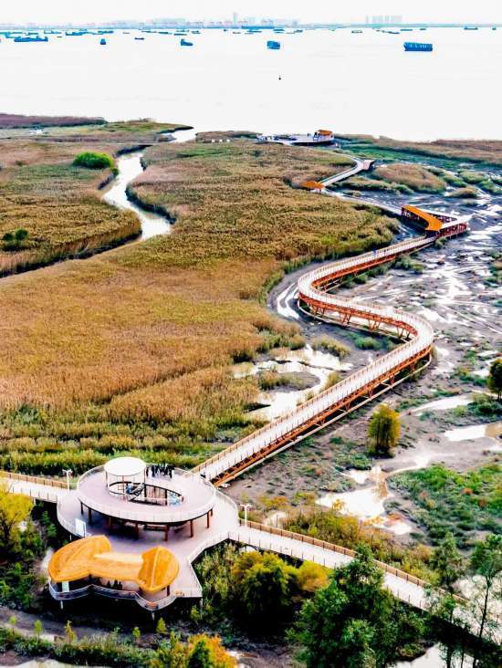 上海这个景区新上榜国家5a级旅游景区 美图来了_西沙_明珠_崇明