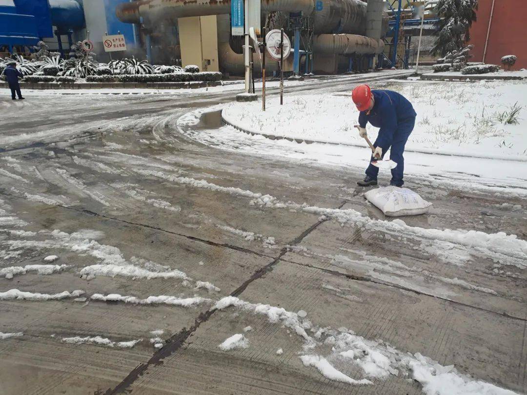 低温雨雪冰冻 扎实做好"六保"_进行_生产_天气