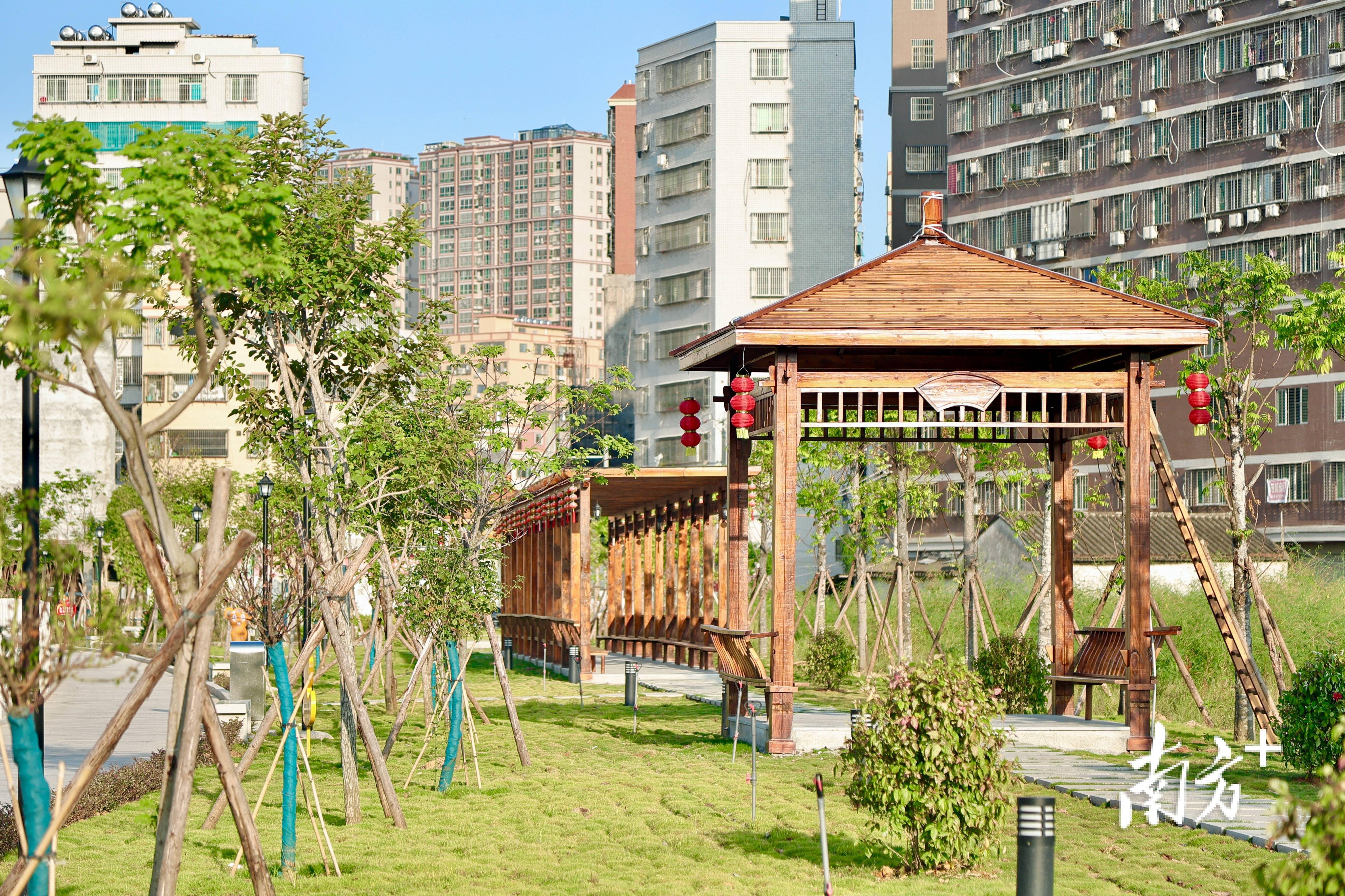 换绿装迎新春,潮安区枫溪镇这些美景"上新"了_绿化_工作_村居