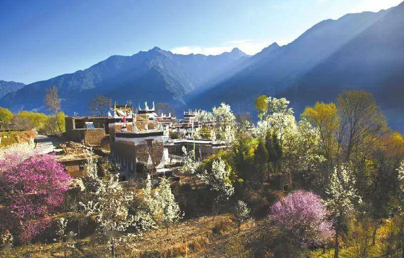 去川西,看一场梨花海_金川_河谷_丹巴