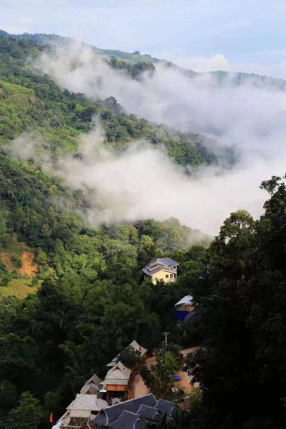【有一种叫云南的生活】玩遍不一样的西双版纳:勐海篇_旅游_茶山_景区