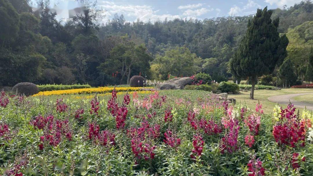 春節遊植物園,最新攻略來了!_廈門_主題_地點