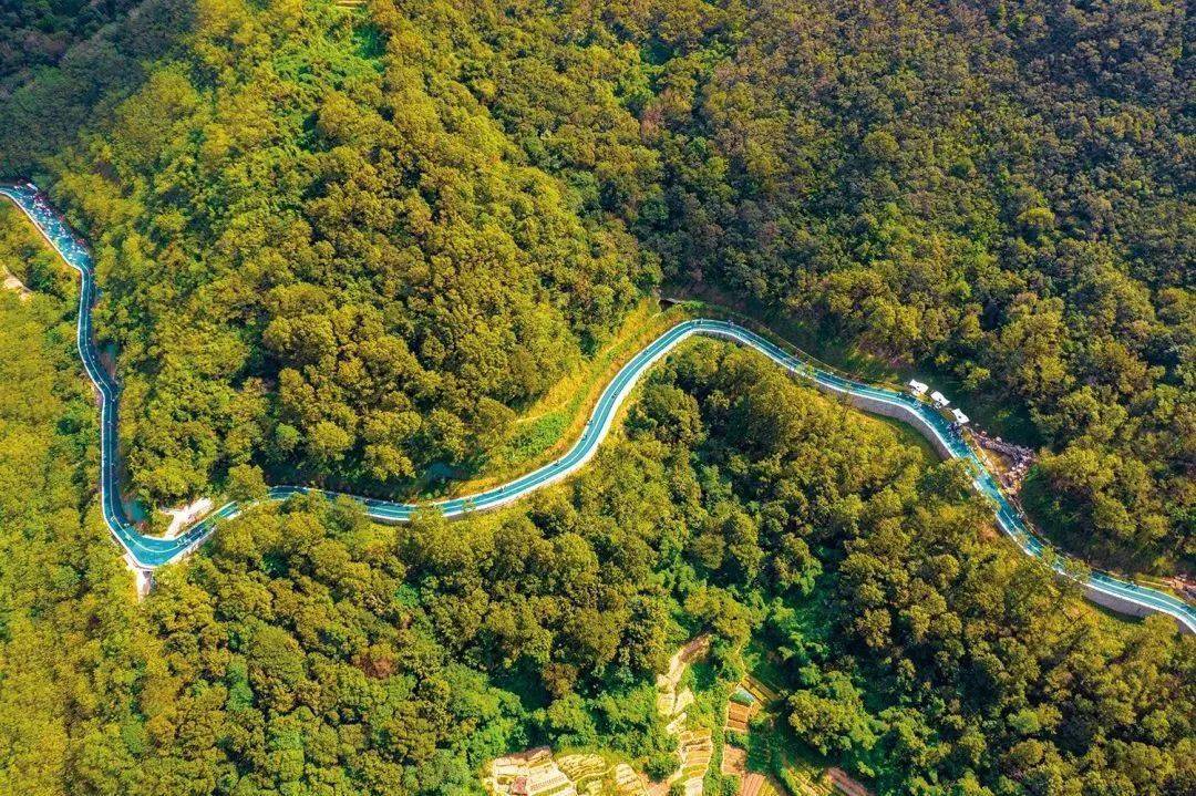 high玩舟山丨定海:用漫游的方式,来一场文艺范穿越!