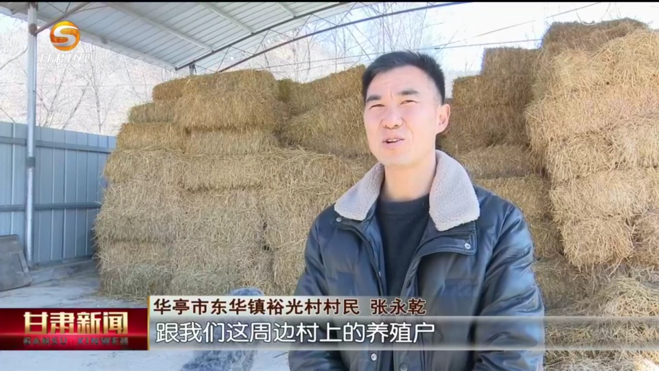 (春节海采 新年心愿)祈福迎新春 欢喜过大年_甘肃