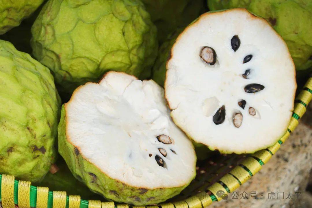 新春·进莞来丨拿好这份「摘摘乐」攻略,过年摘果子去