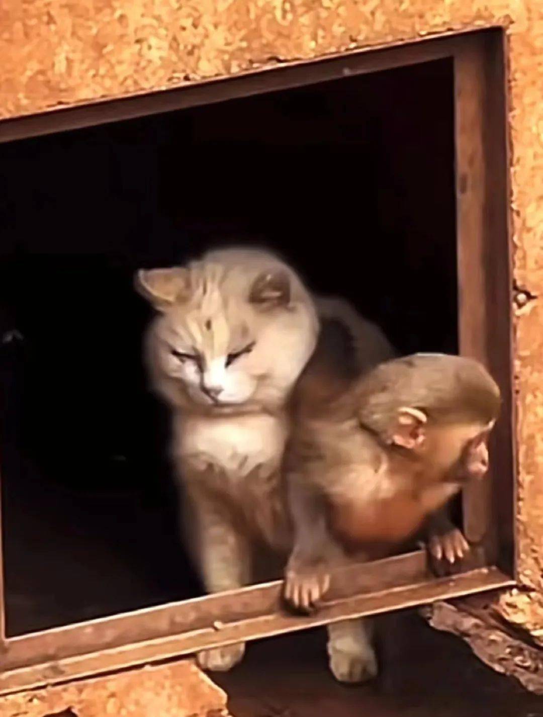 西寧野生動物園