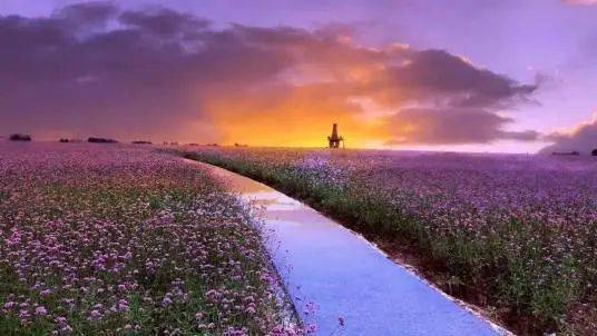 潮河湾景区以"清水,怡水,乐水,享水"为主题,打造了景色各异的"二十四