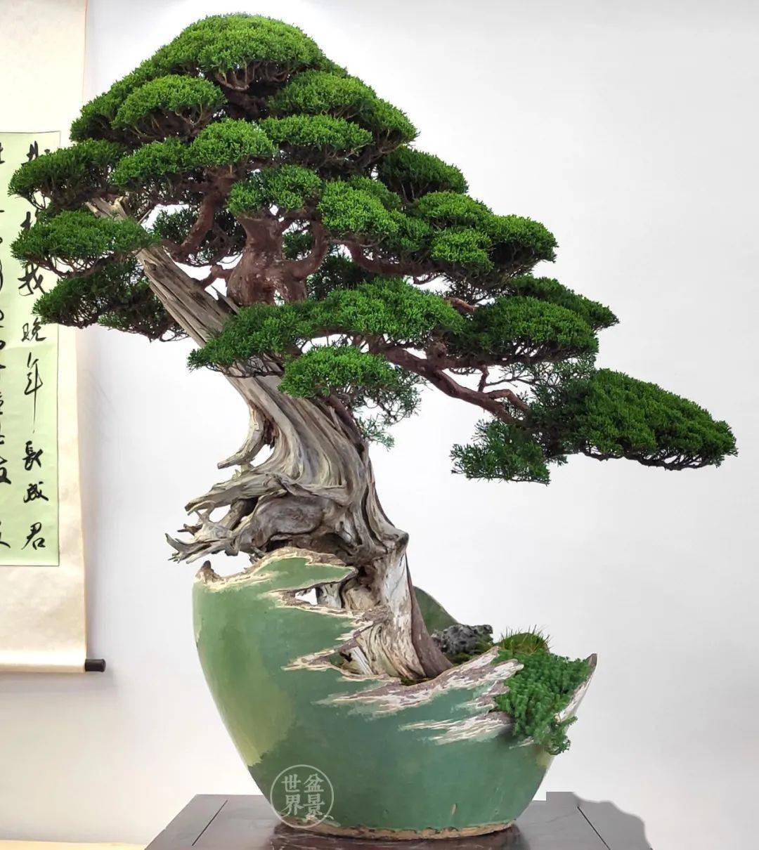 大年初五,"破五",不破不立_作品_cm_盆景