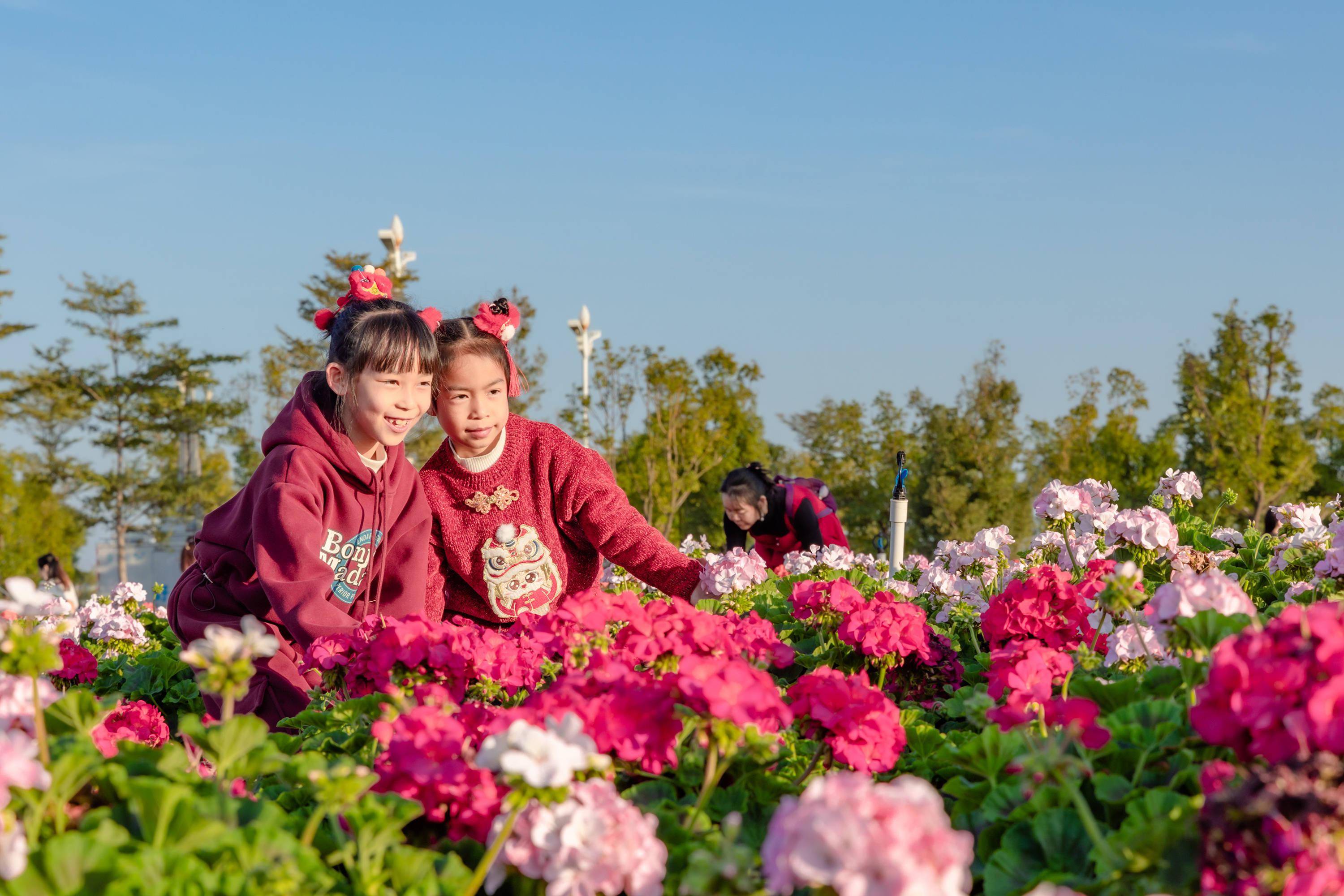 花开了!春节赏春来滨海湾