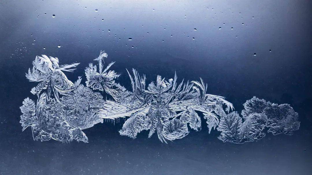 锦绣中国年|冰窗花恣意"盛开"