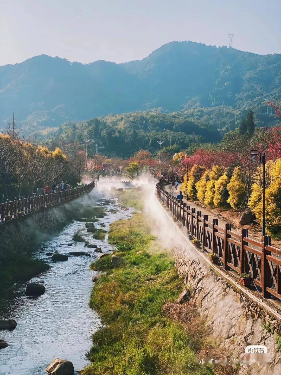 来宁德,赏春光,一路繁花一路歌~_地址_屏南_油菜花
