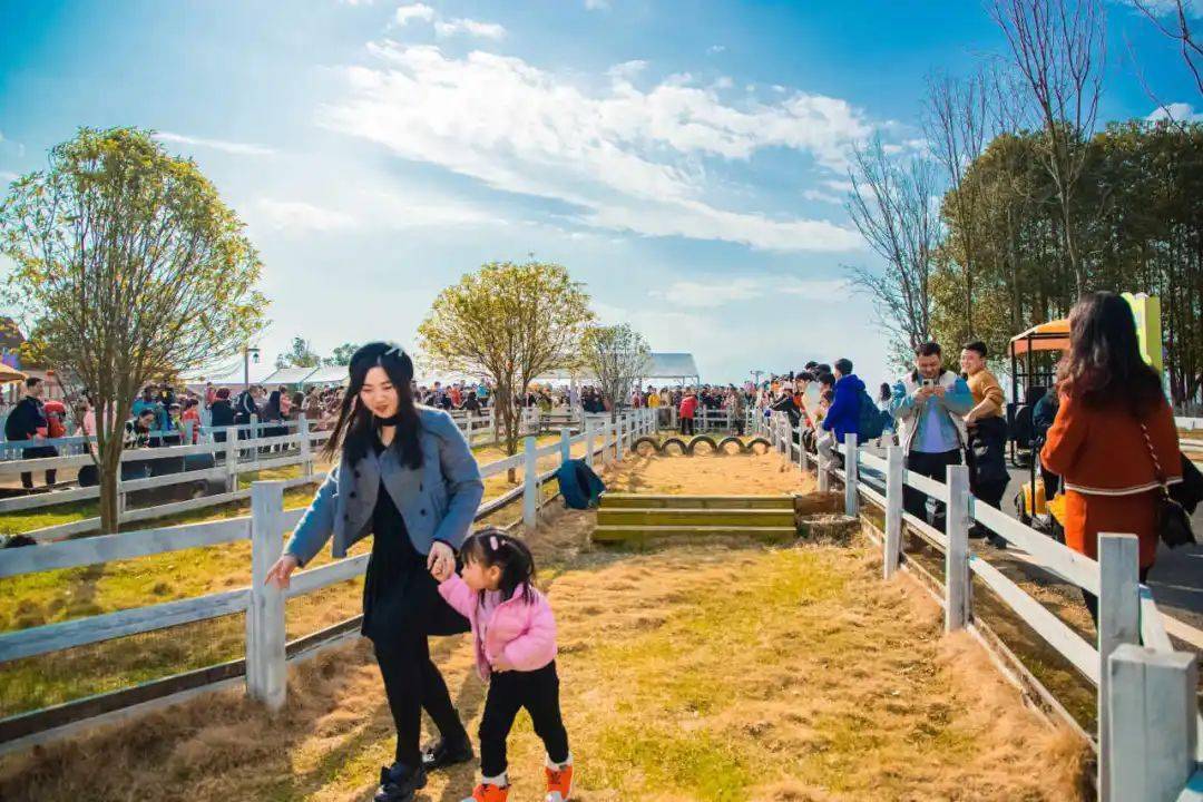 小猪快跑△鹦鹉表演从大年初三开始,仙凤三宝新增夜场活动:篝火晚会