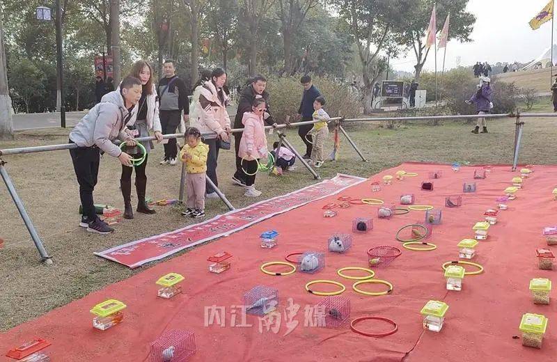 打地鼠,儿童版过山车等项目,也有适合大人,孩子一起共同参与的套圈圈