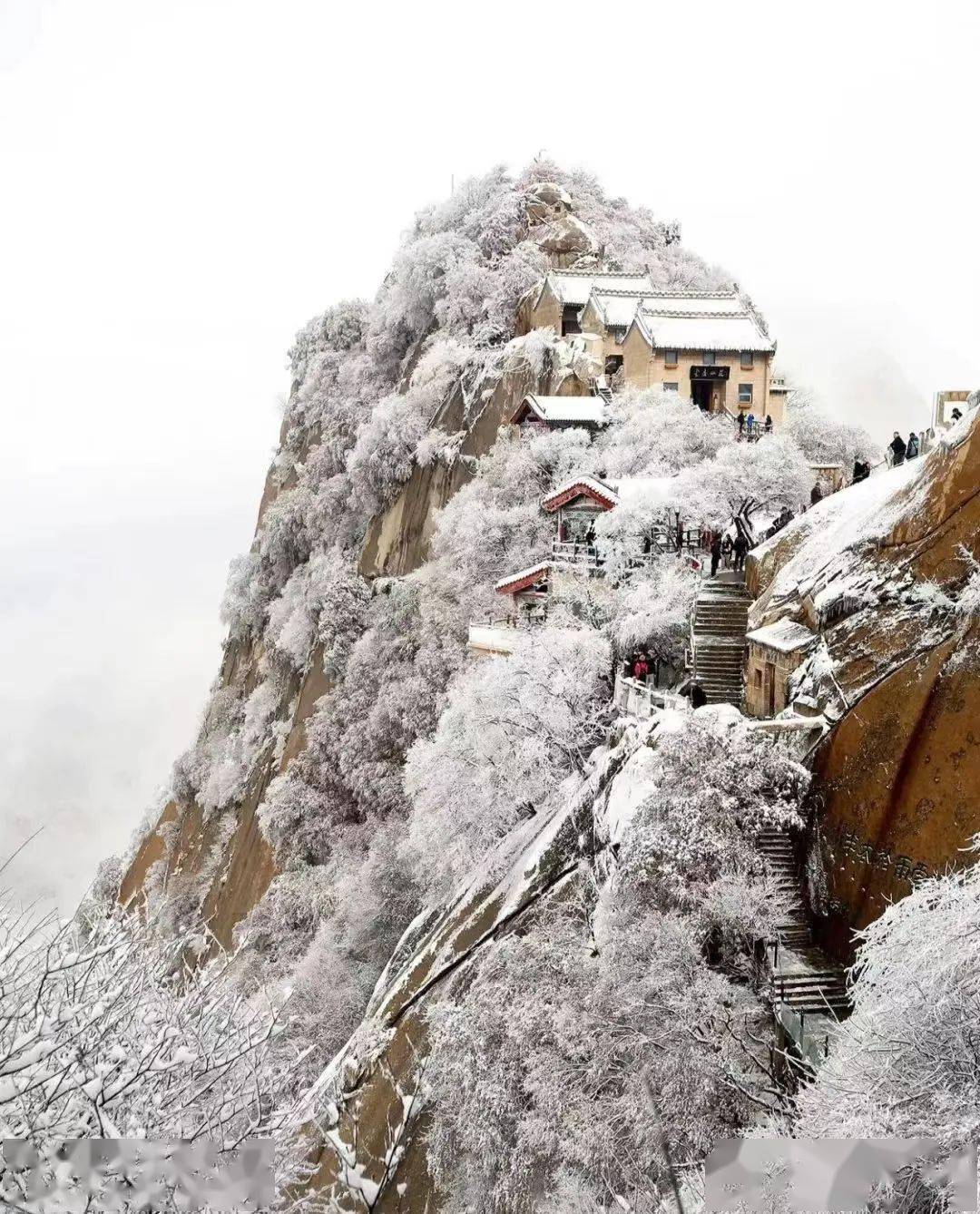 六合同春 | 迎风斗雪登华山_黄河_凛寒_长明