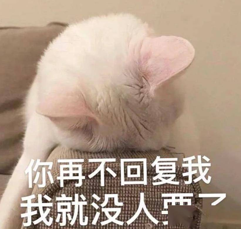 麦当当交出来!丨第919期喵表情包_侵权_网络_图片