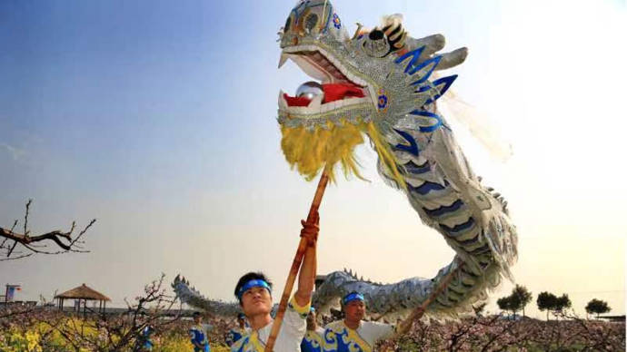 上海非遗中的"龙"文化_传统_项目_龙舞