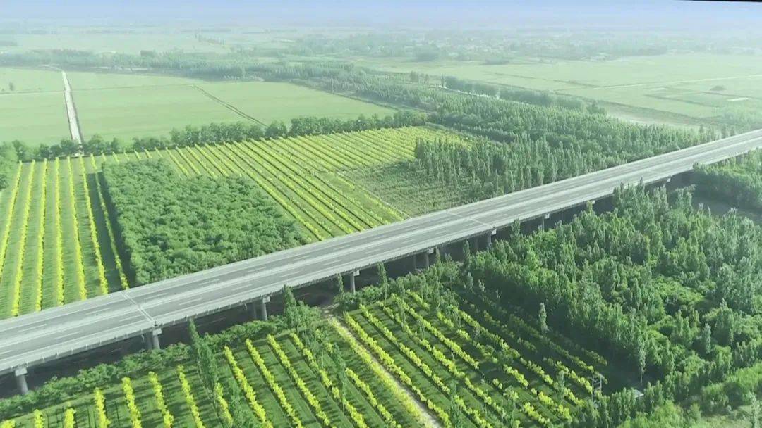 欢欢喜喜过大年| 巨鹿县文旅推介_文化_邢台_资源