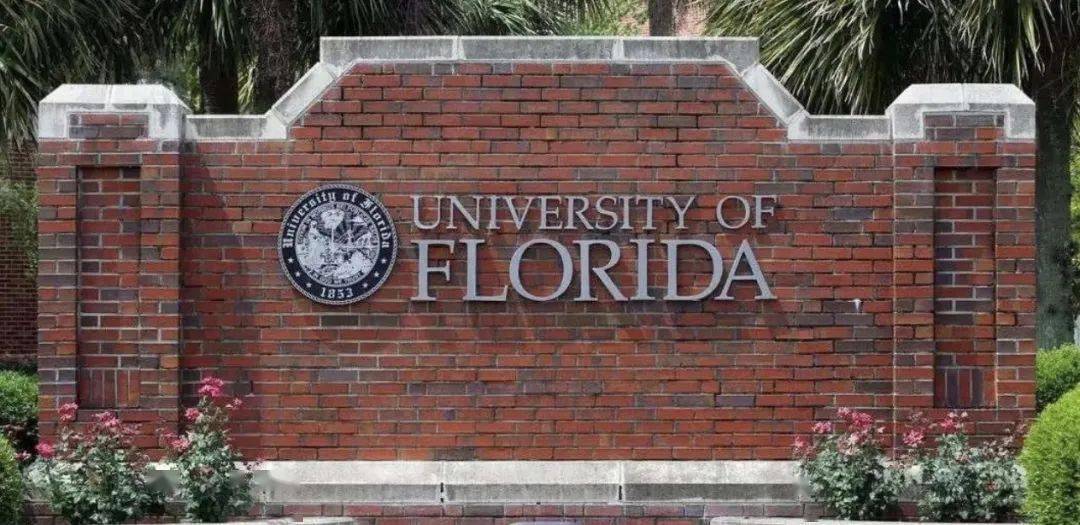 news全美排名top50一路猛冲进入top30梯队,它就是——佛罗里达大学.