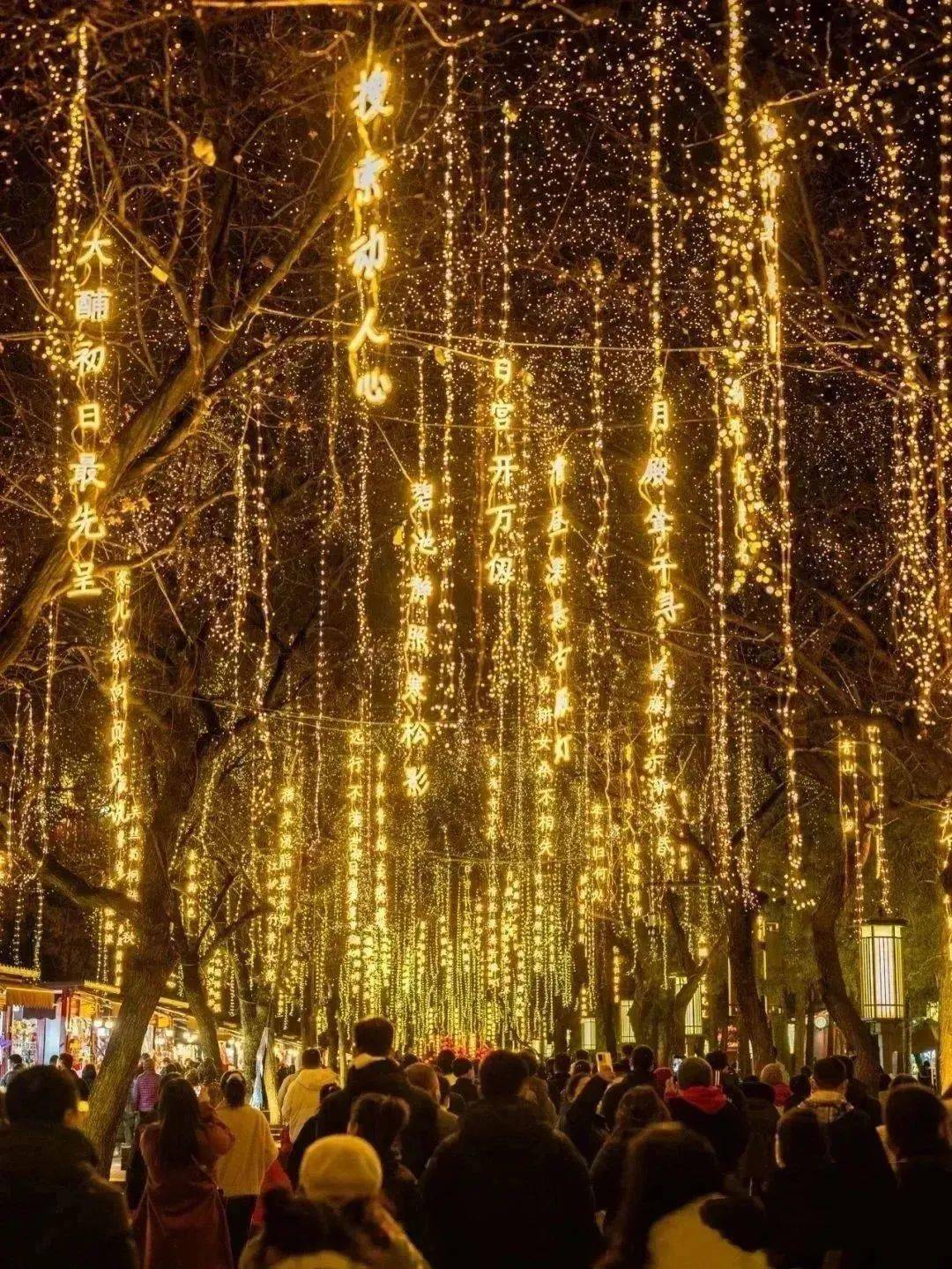 长安人人皆背诗