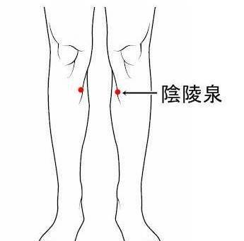 这10大腿部穴位