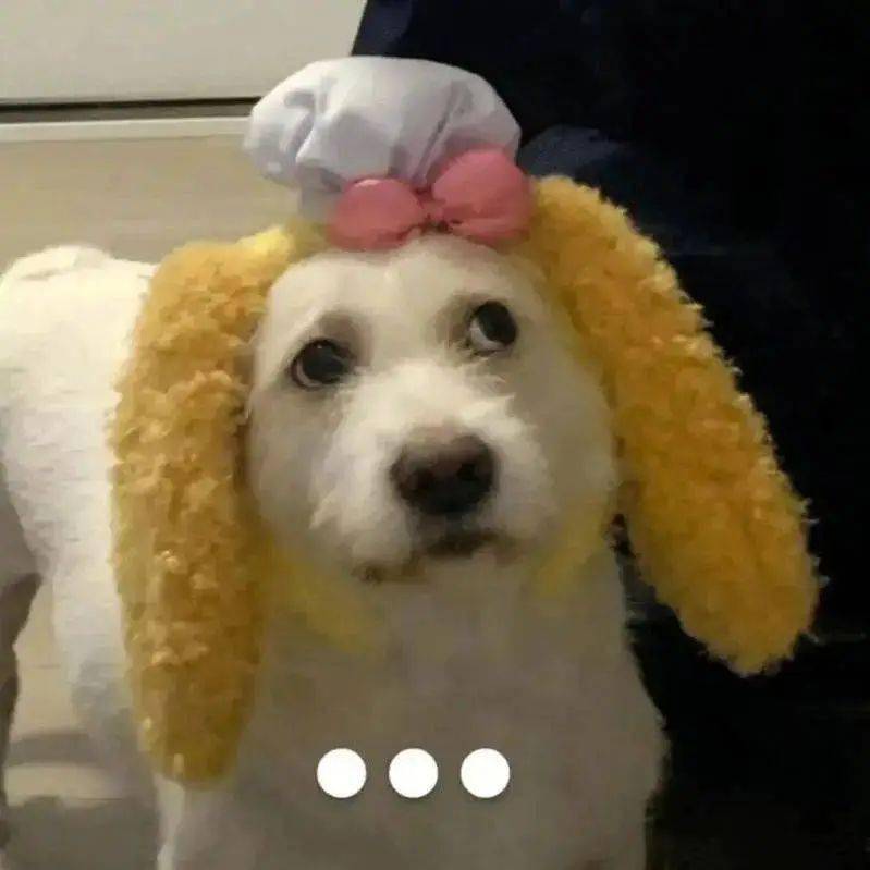 微信热门表情包:是不要命了吗?_公众_il_熊猫头