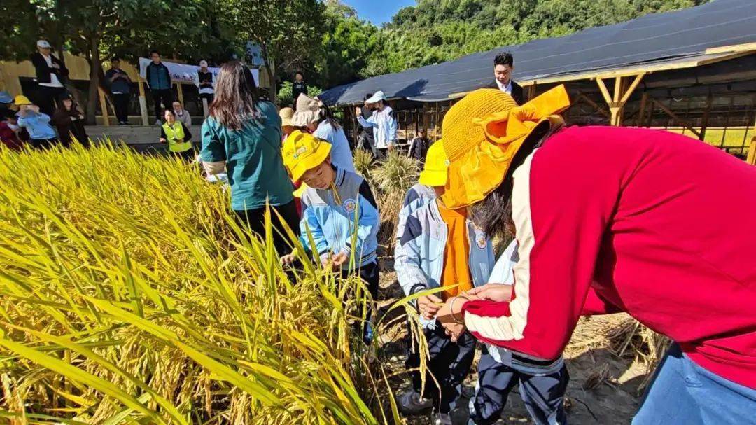 假期余额告急,跟着官方推介漫游"家门口"_五桂山街道