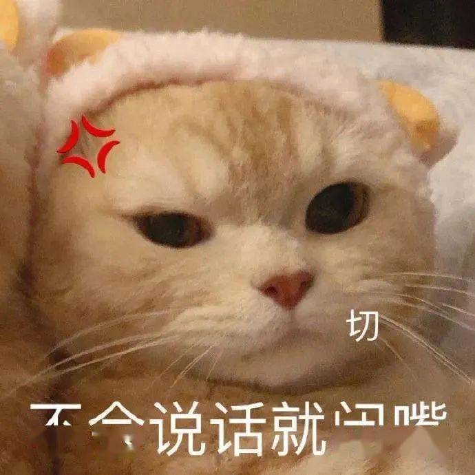 给我闭嘴丨920期喵表情包_侵权_网络_图片