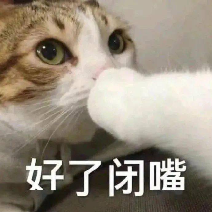 给我闭嘴丨920期喵表情包_侵权_网络_图片