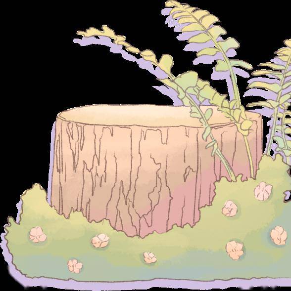 桃红柳绿能听到烟柳之间的莺啼能闻到湖畔桂花淡淡的香气江风与山月最