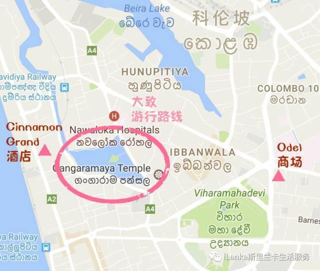 斯里兰卡 | 科伦坡二月月圆节大游行,下周五六如约而至!