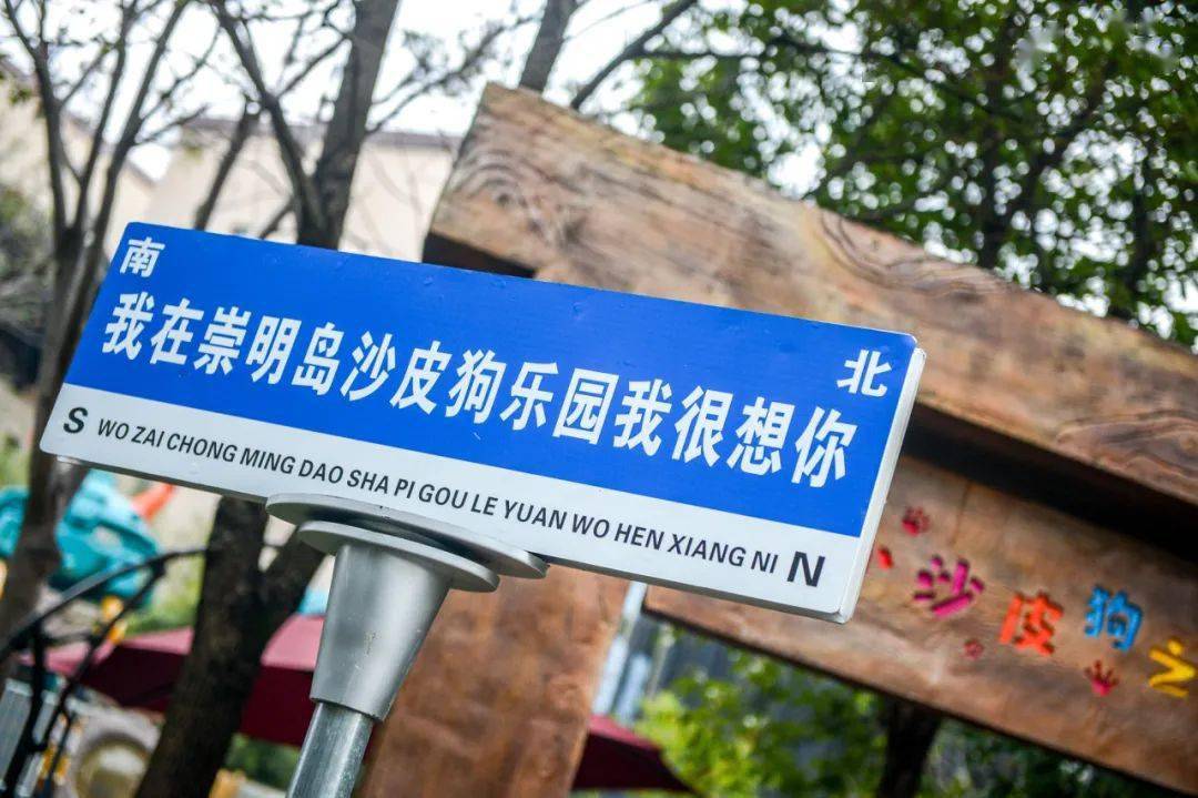 上海宁心中独一份的座绿色生态岛屿:崇明岛——这个好
