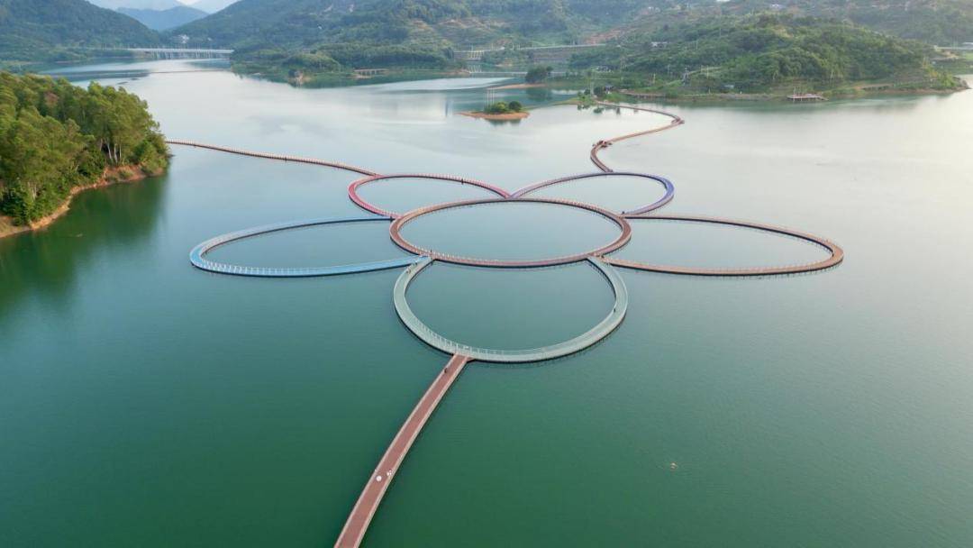 的微光柔和地洒落她是橙色的黄谷上 摄张良久 摄翠屏湖是什么颜色的?