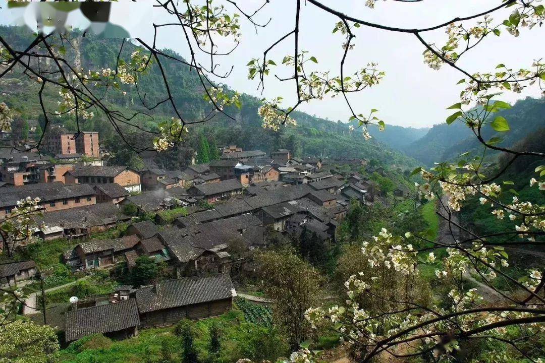 开往春天的嘉阳小火车_生活_犍为_油菜花