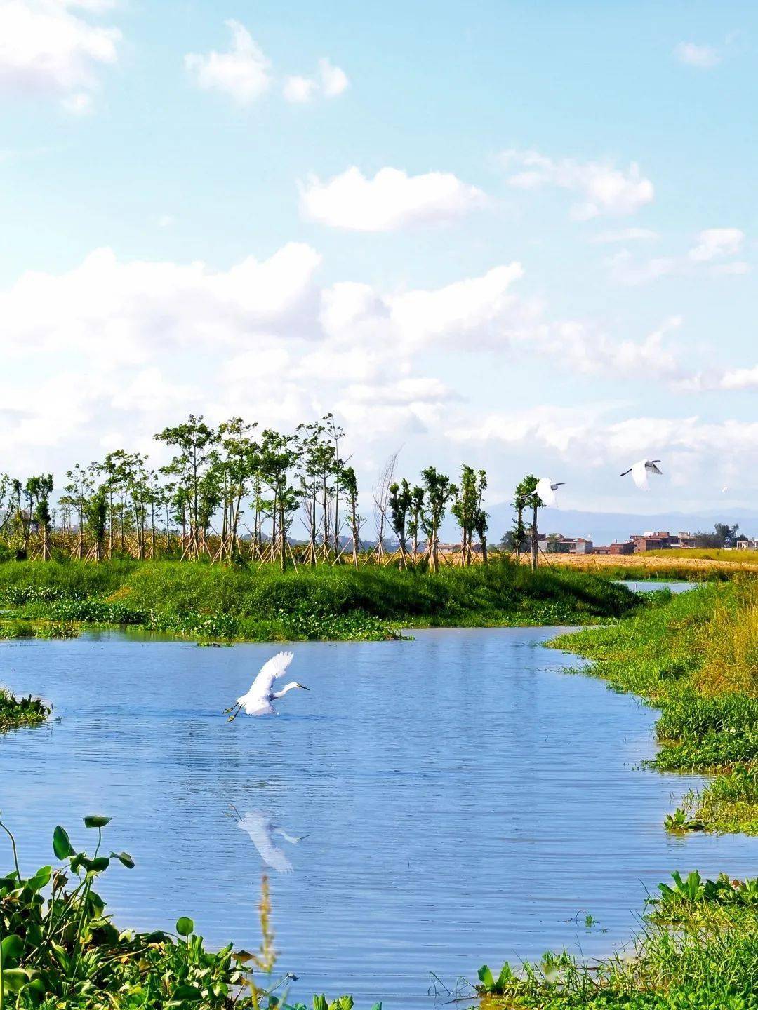 正月初九,莆田平海镇平海社区城隍巡游闹元宵_摄影_区