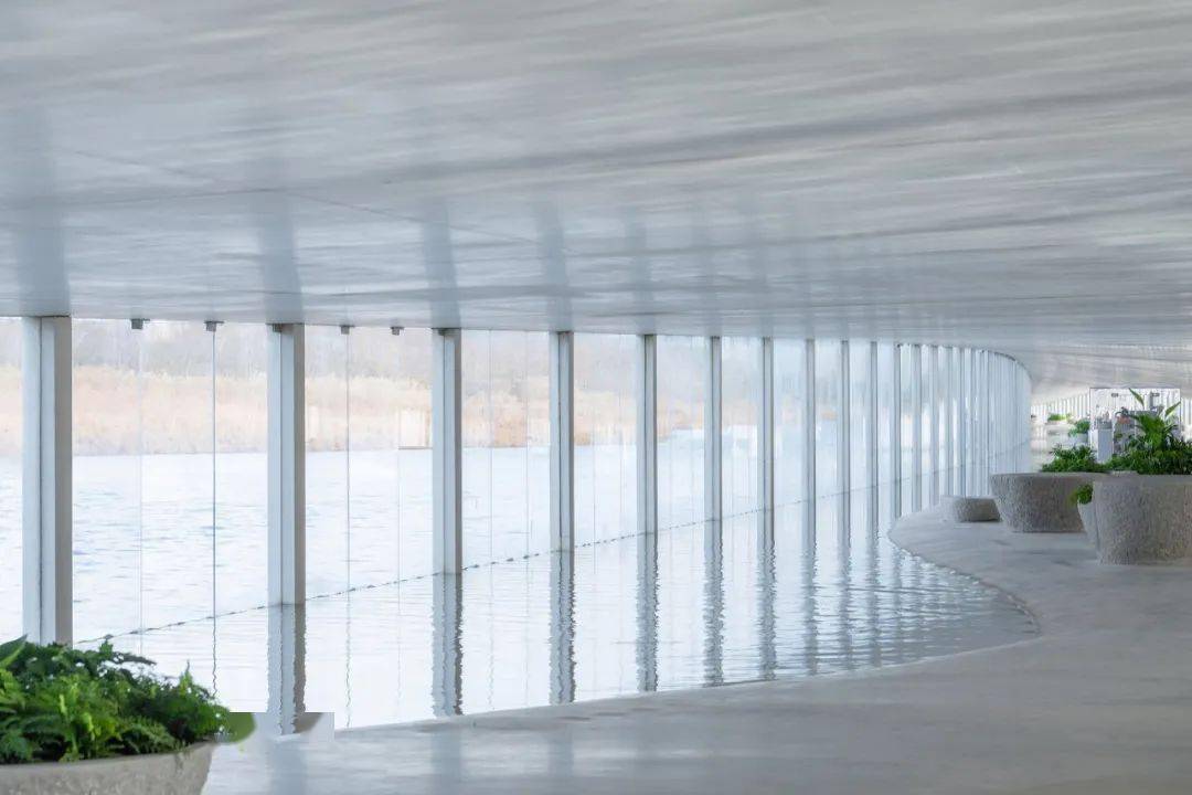山东"水中飘带"——在水艺术博物馆,由石上纯也设计_建筑_水面_地方