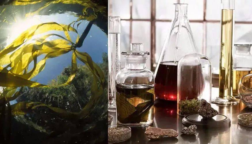 而现在,肌肤很难维持好的状态,痘痘肌,敏感肌,红血