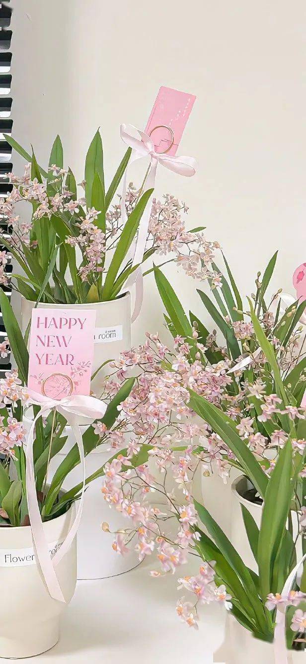 壁纸 花 桌面 616_1336 竖版 竖屏 手机