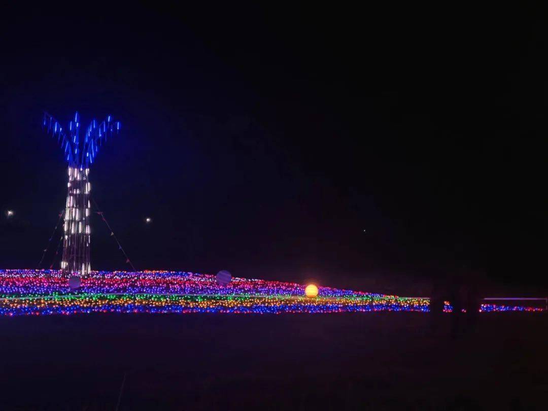 2024年春节假日金湖旅游市场综述_表演_文化_游客