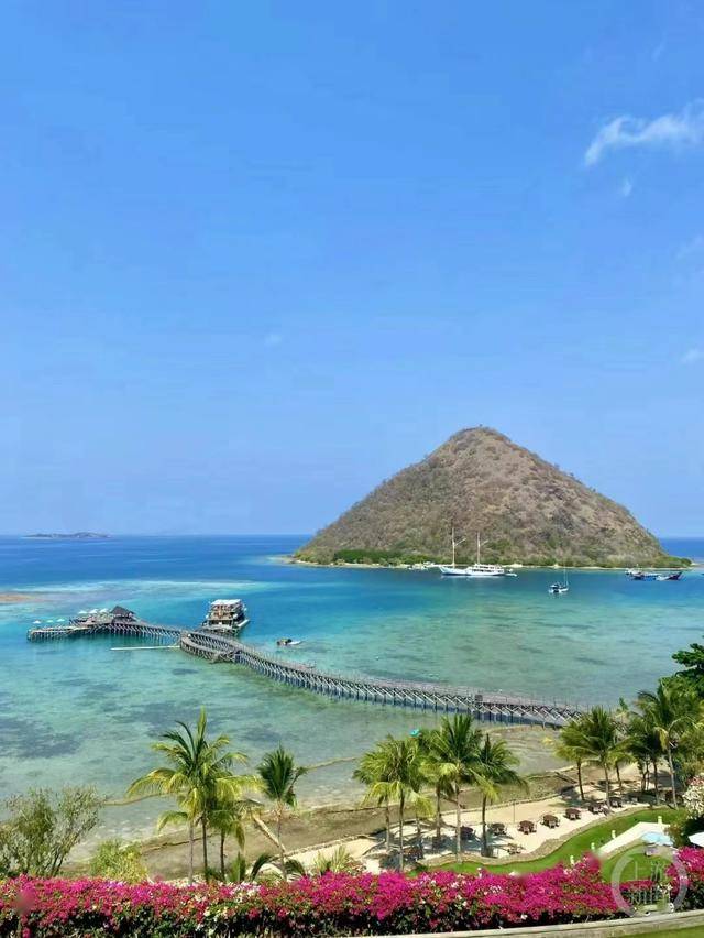 携程发布《2024龙年春节旅行报告》|太原市晋阳湖桃花