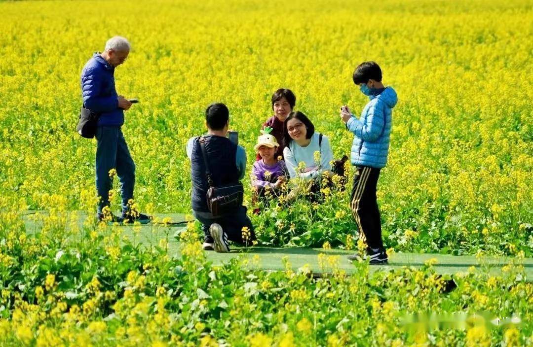 龙年春节东莞接待游客超五百万人次，旅游收入超27亿元！