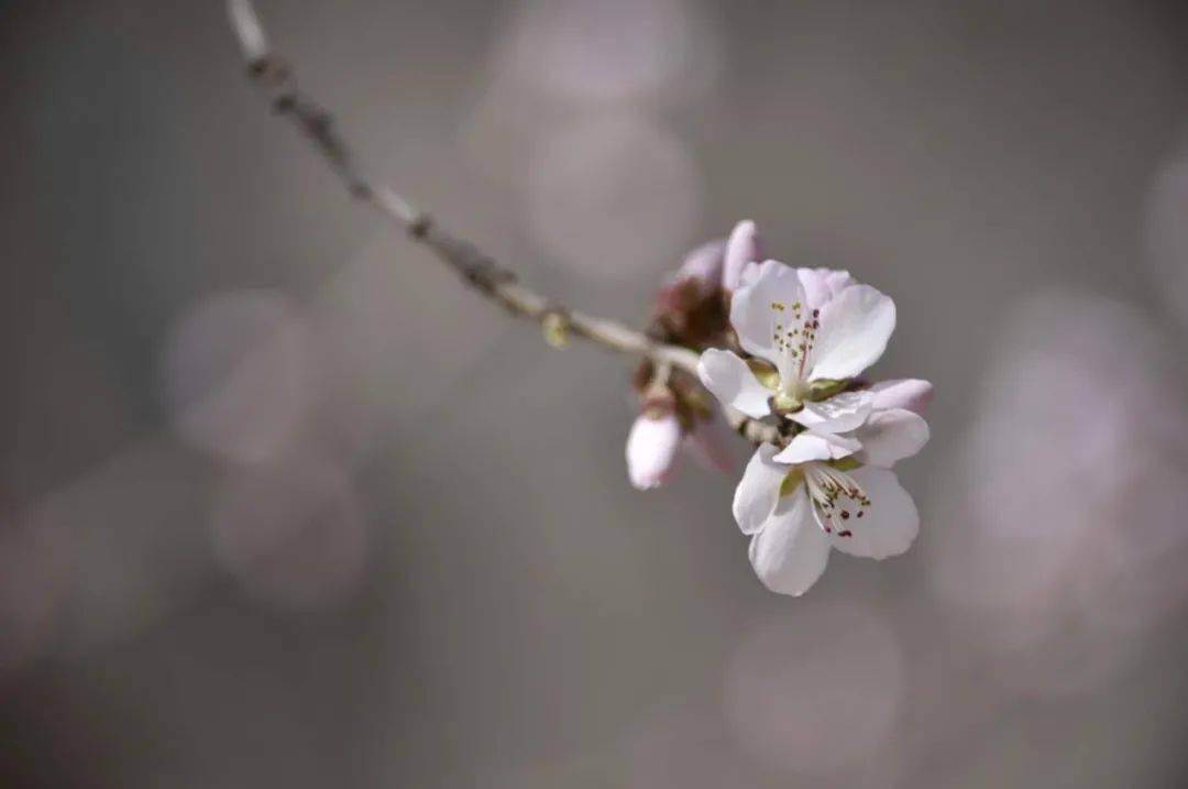 伴读| 这四种人,最容易遇到贵人_摄影_才能_是一种