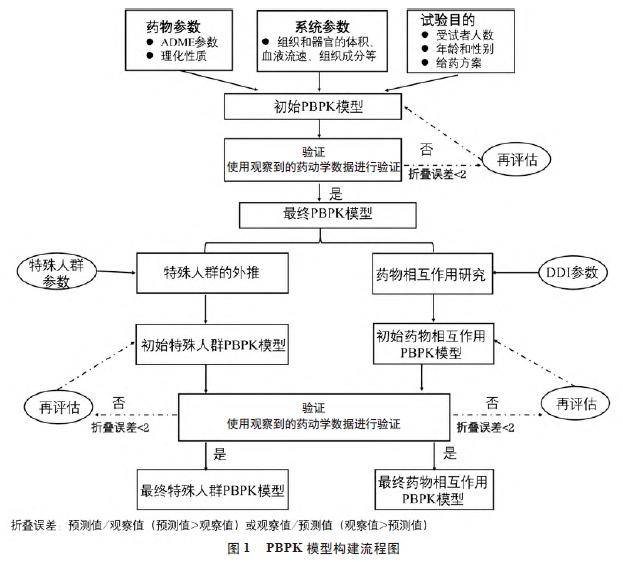 一早期的研究表明,p-糖蛋白(p-gp)抑制剂如维拉帕米和克拉霉素可以